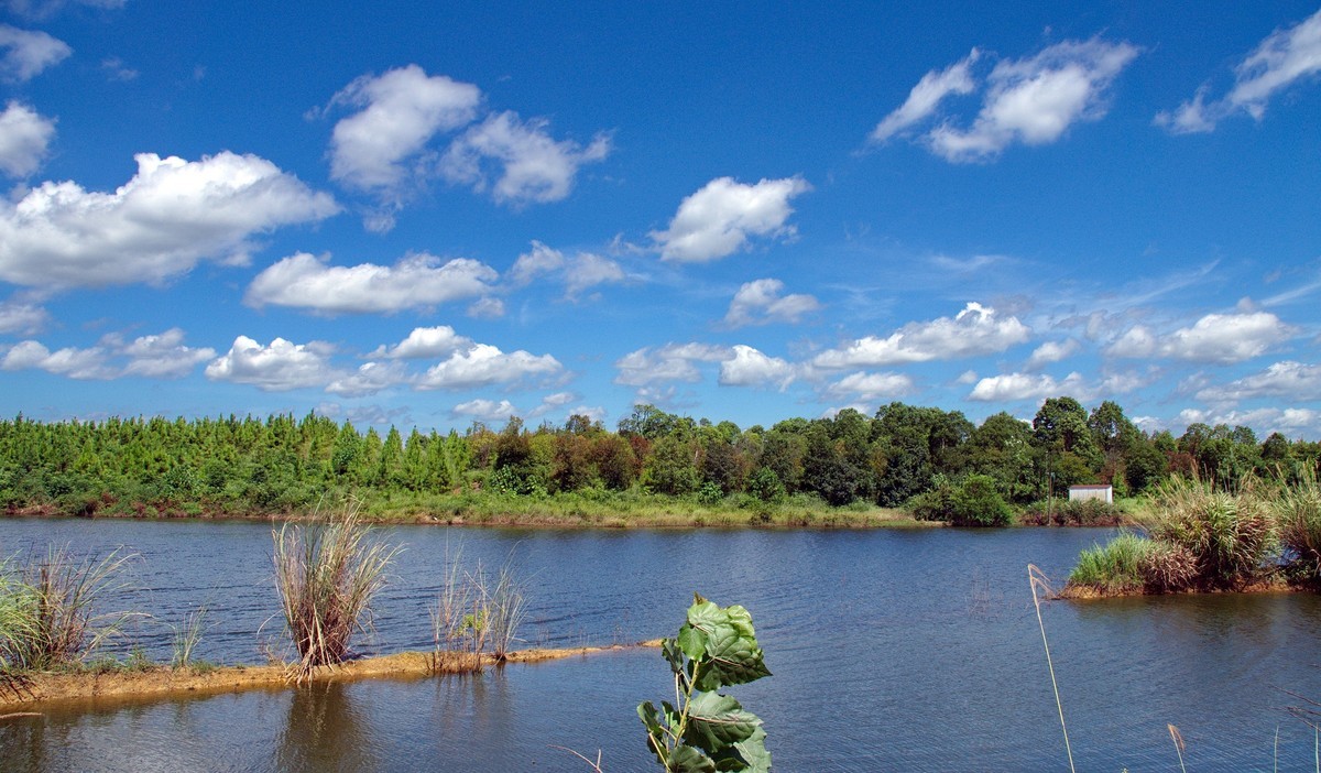 酷热天气乡村行