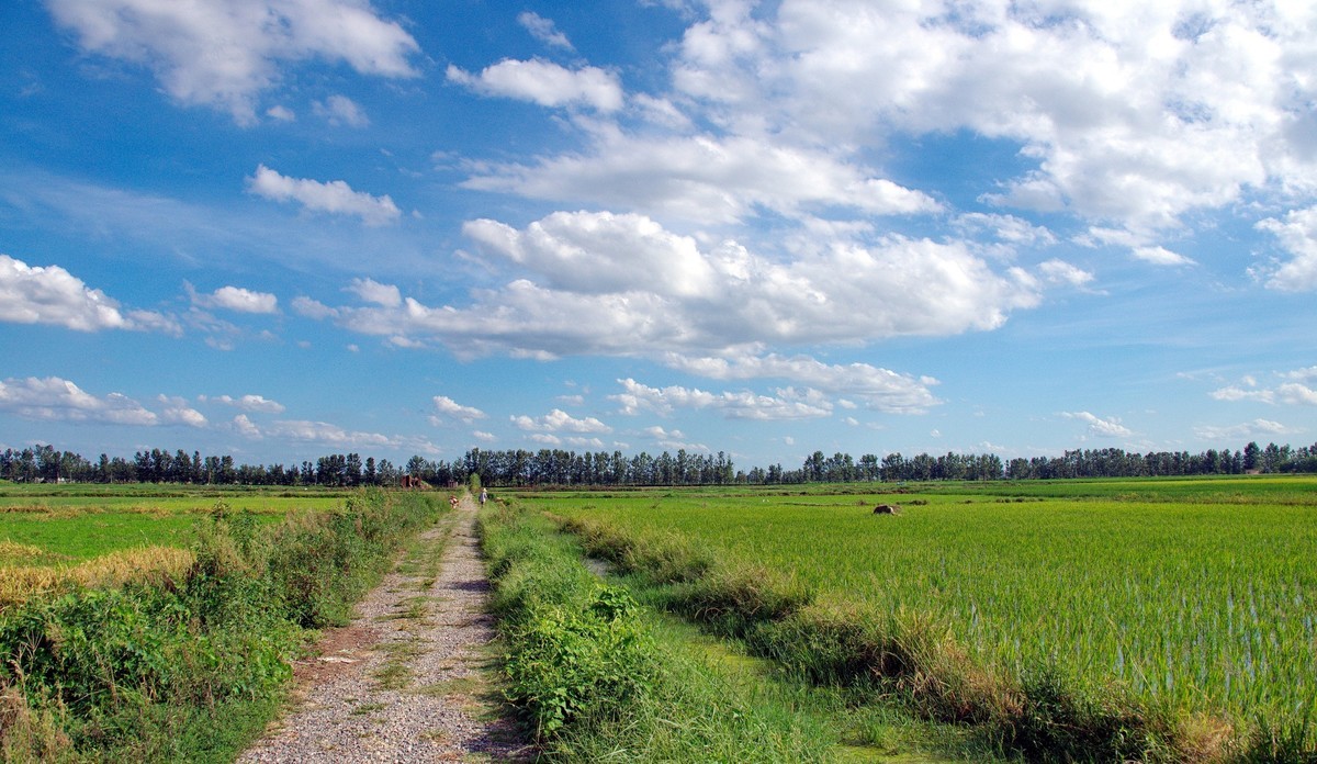 酷热天气乡村行