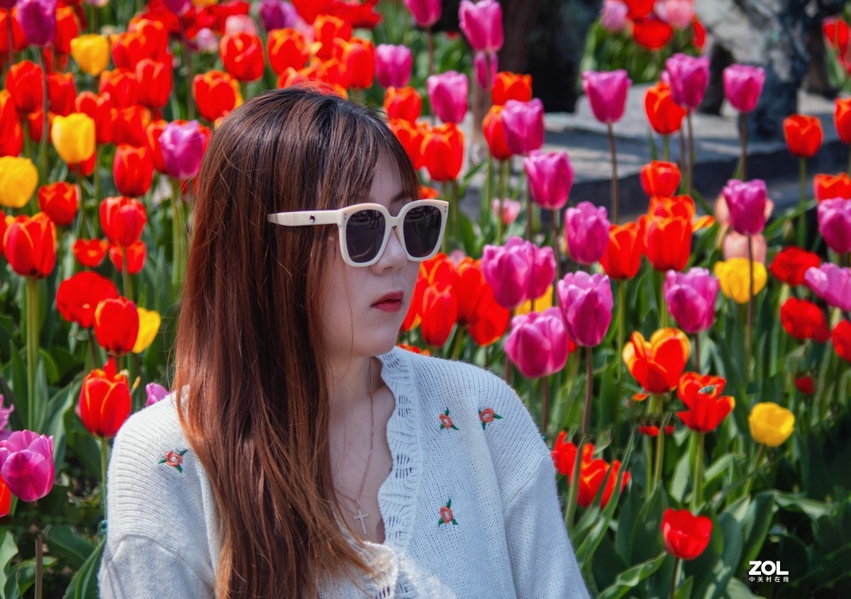 大宁公园郁金香花展杂拍