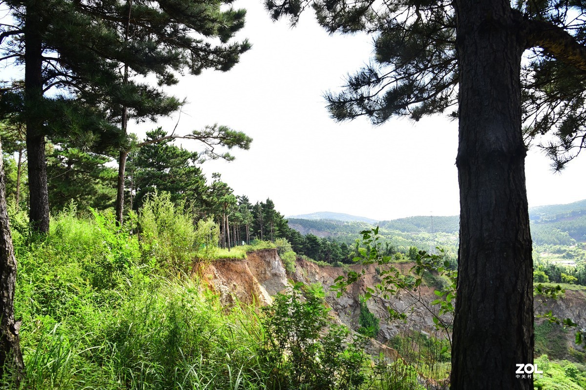 净月潭森林公园