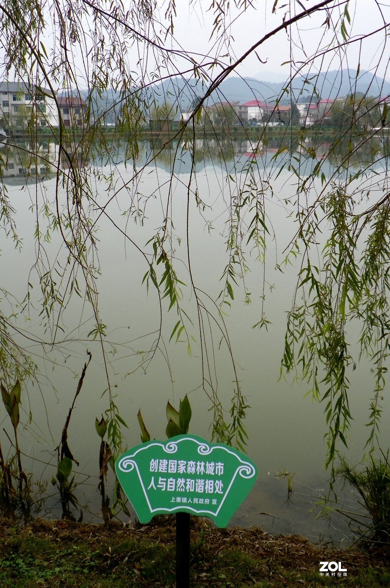 2020冬游百里（20）诗情画意  陶醉其中