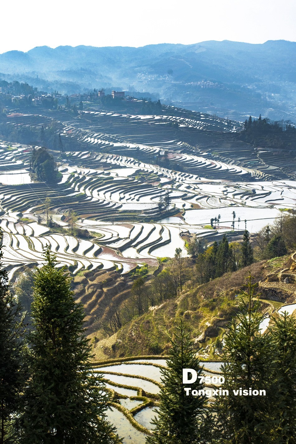 哈尼梯田26