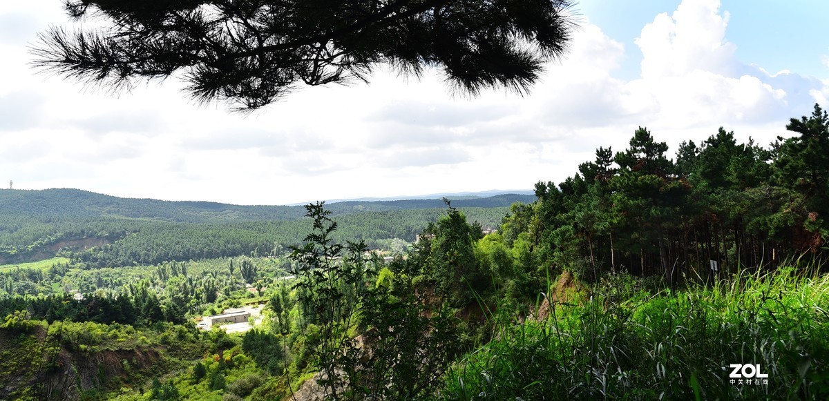 净月潭森林公园