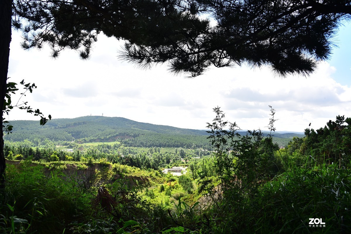 净月潭森林公园