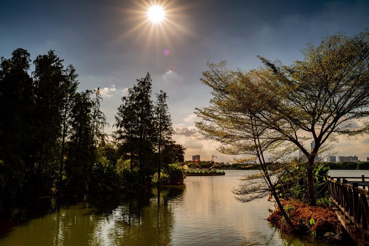 用老镜拍摄的海珠湖