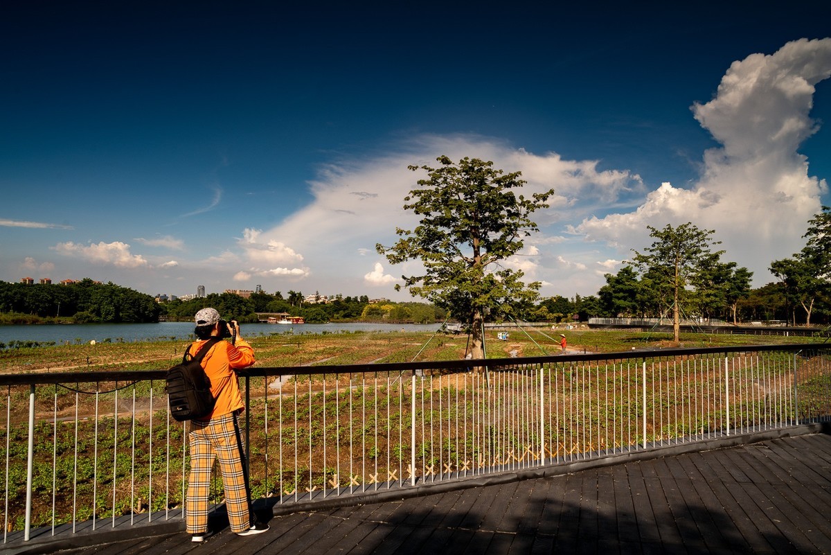 用老镜拍摄的海珠湖