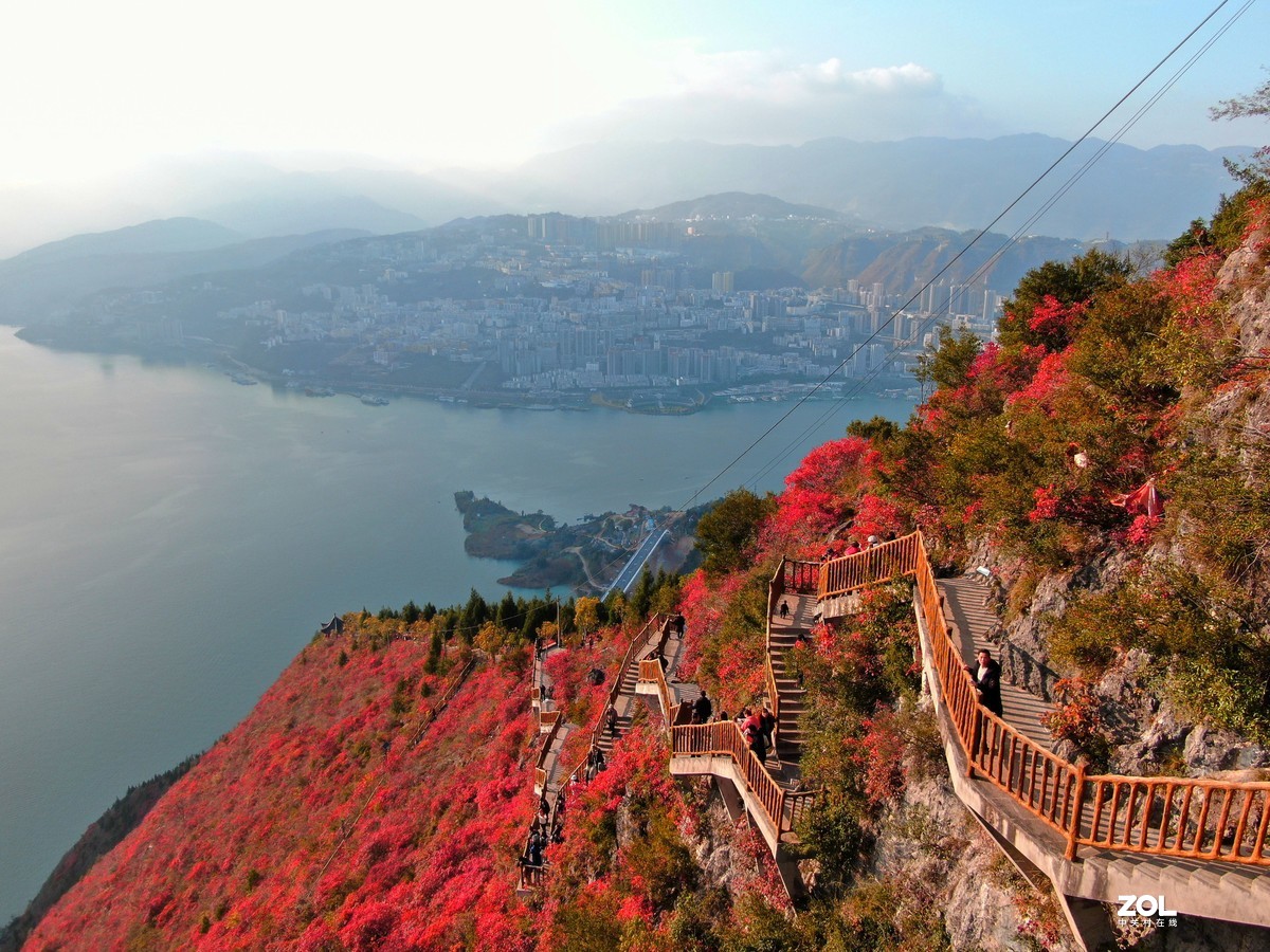 美丽的重庆巫山红叶