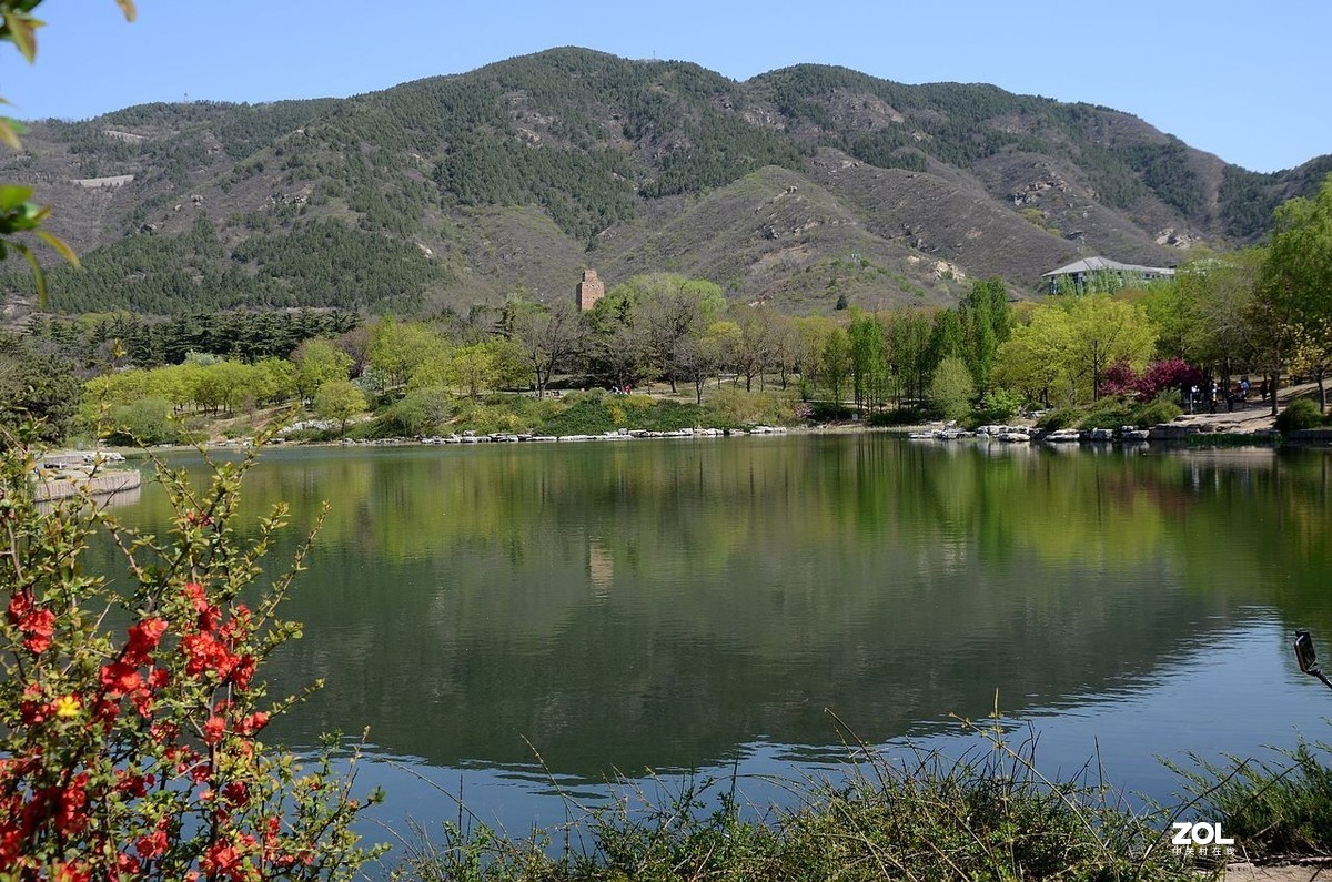 植 物 园 ---------春  色