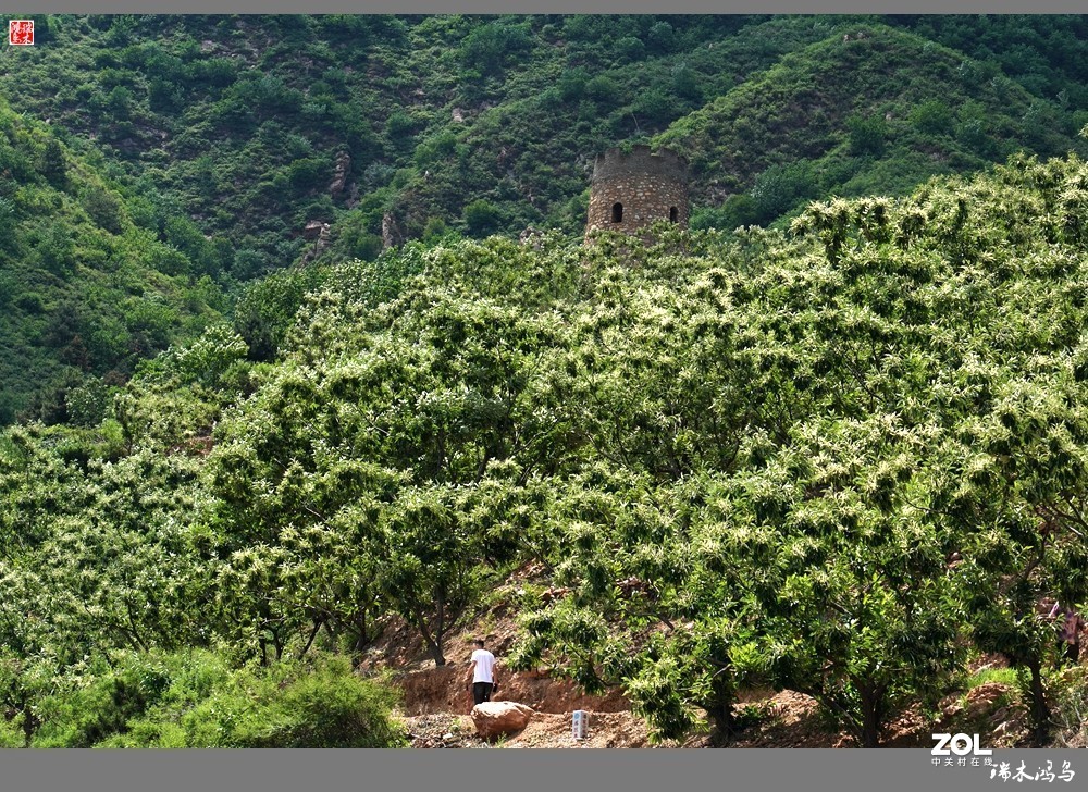 【端午之旅】5.华夏脊梁喜峰口