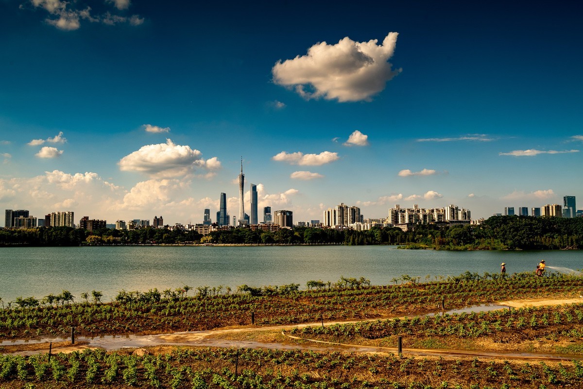 用老镜拍摄的海珠湖