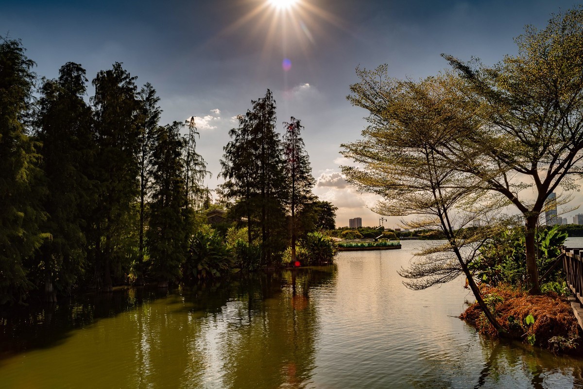用老镜拍摄的海珠湖