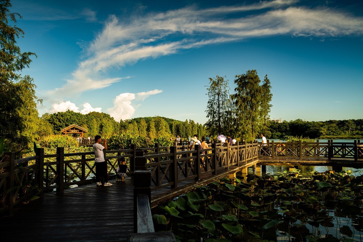 用老镜拍摄的海珠湖