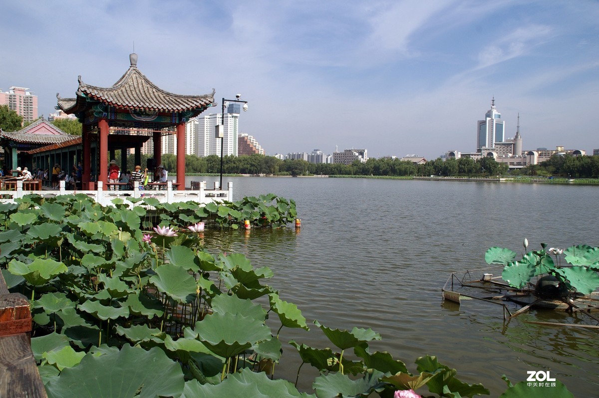 老单反拍的荷花请诸位老师指教