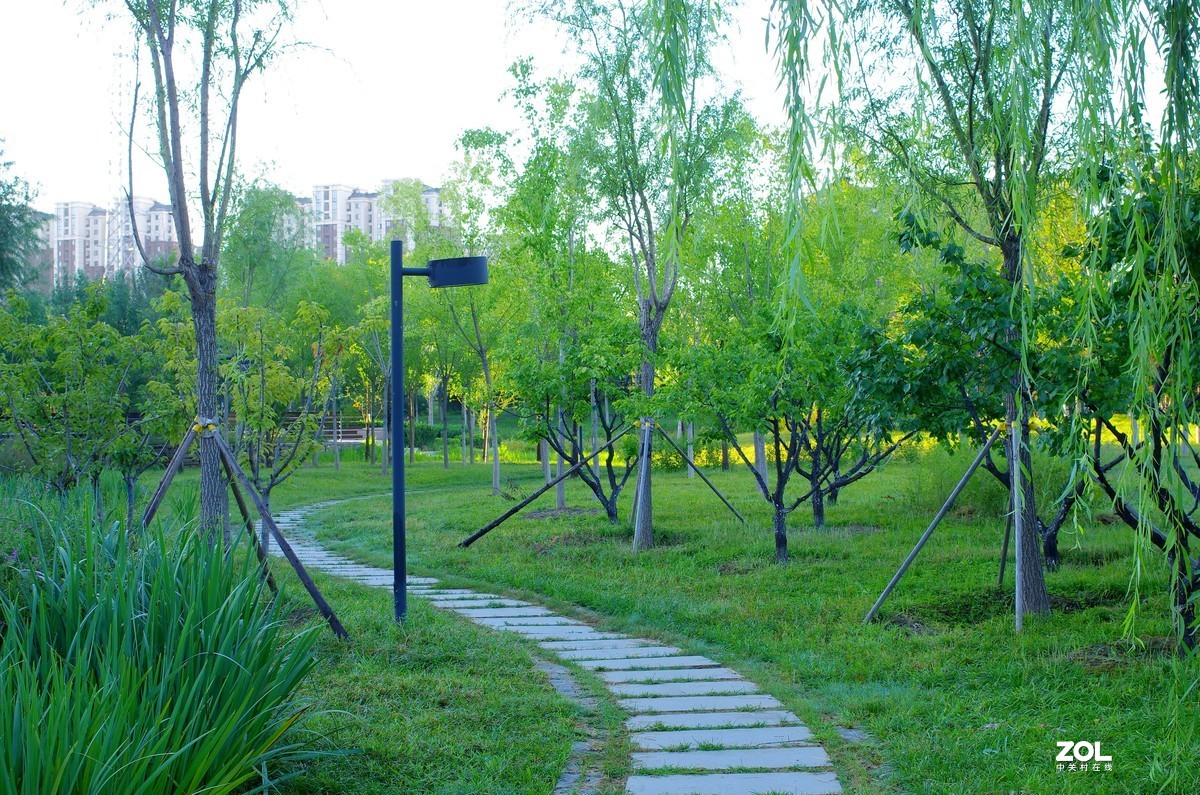 2020园林小景曲径通幽