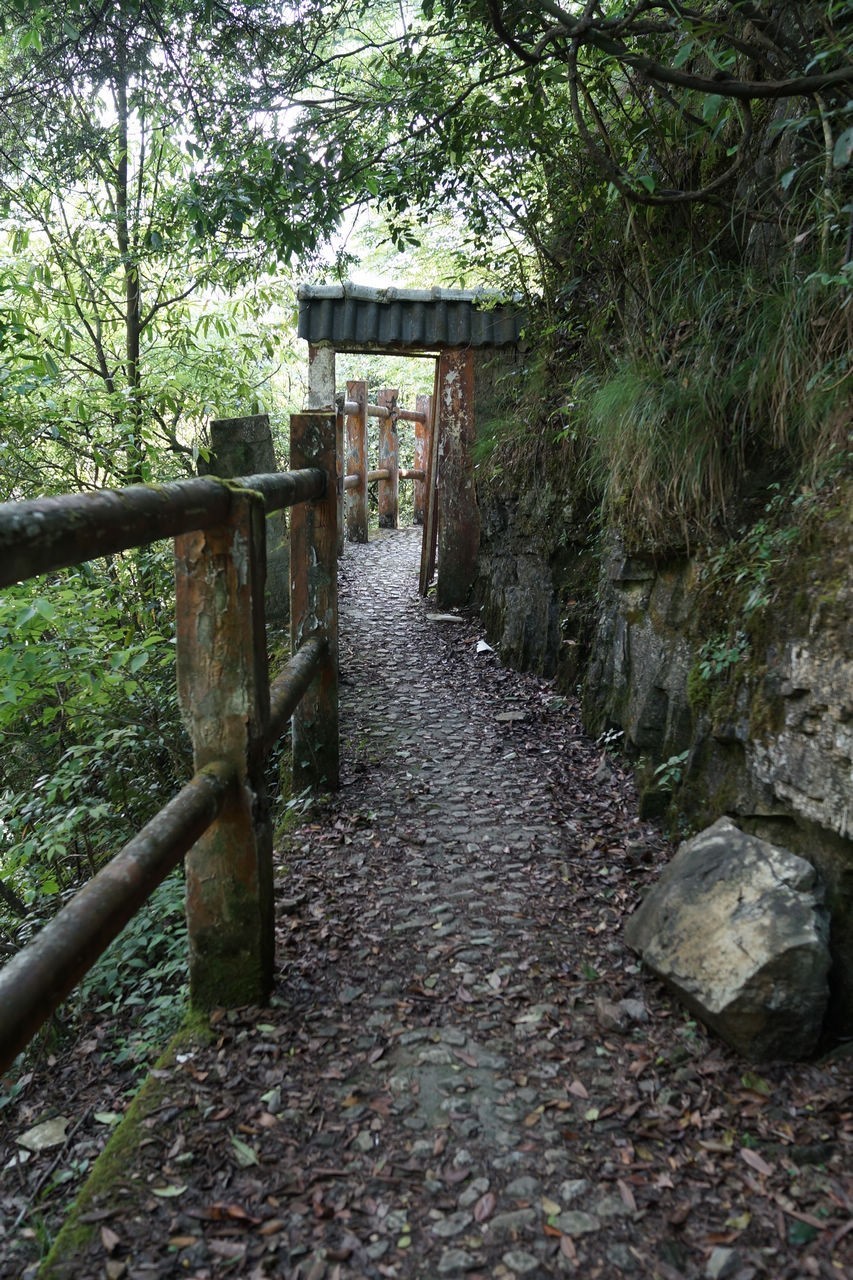 登山游览攀爬贵州绥阳五峰岭记实