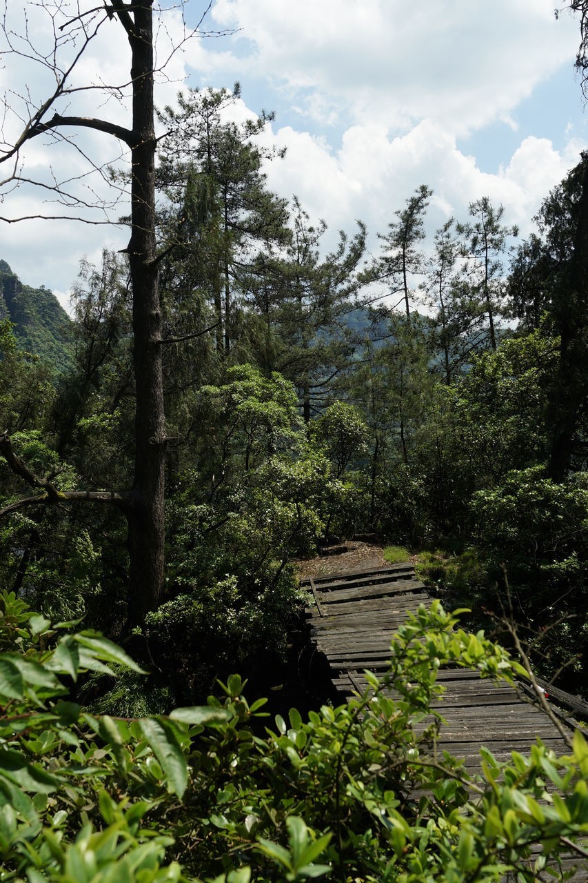登山游览攀爬贵州绥阳五峰岭记实