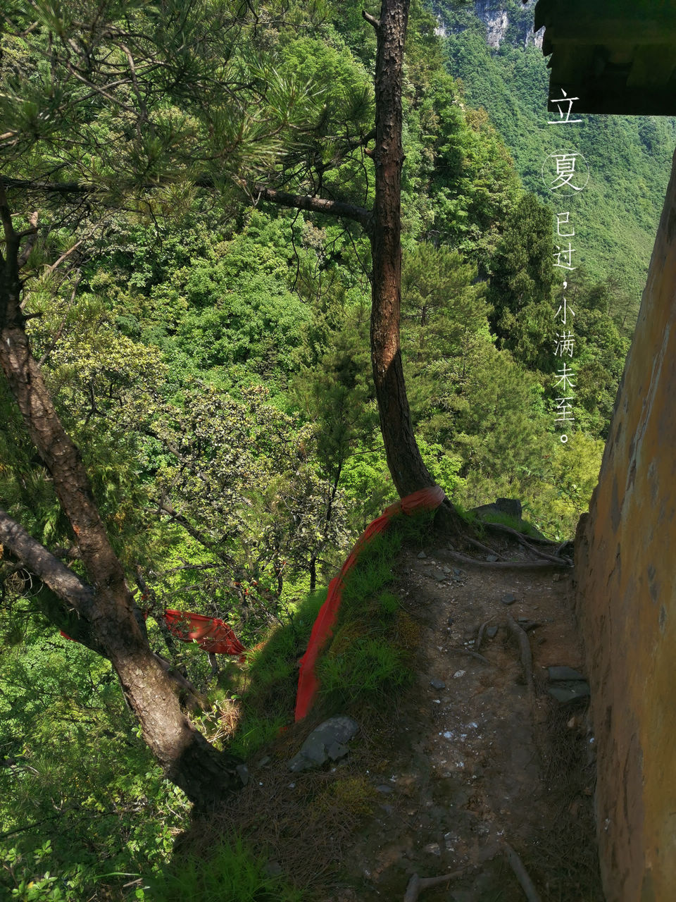 登山游览攀爬贵州绥阳五峰岭记实