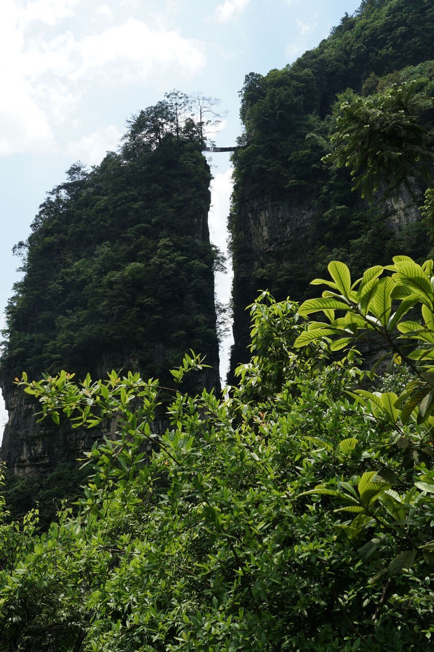 登山游览攀爬贵州绥阳五峰岭记实