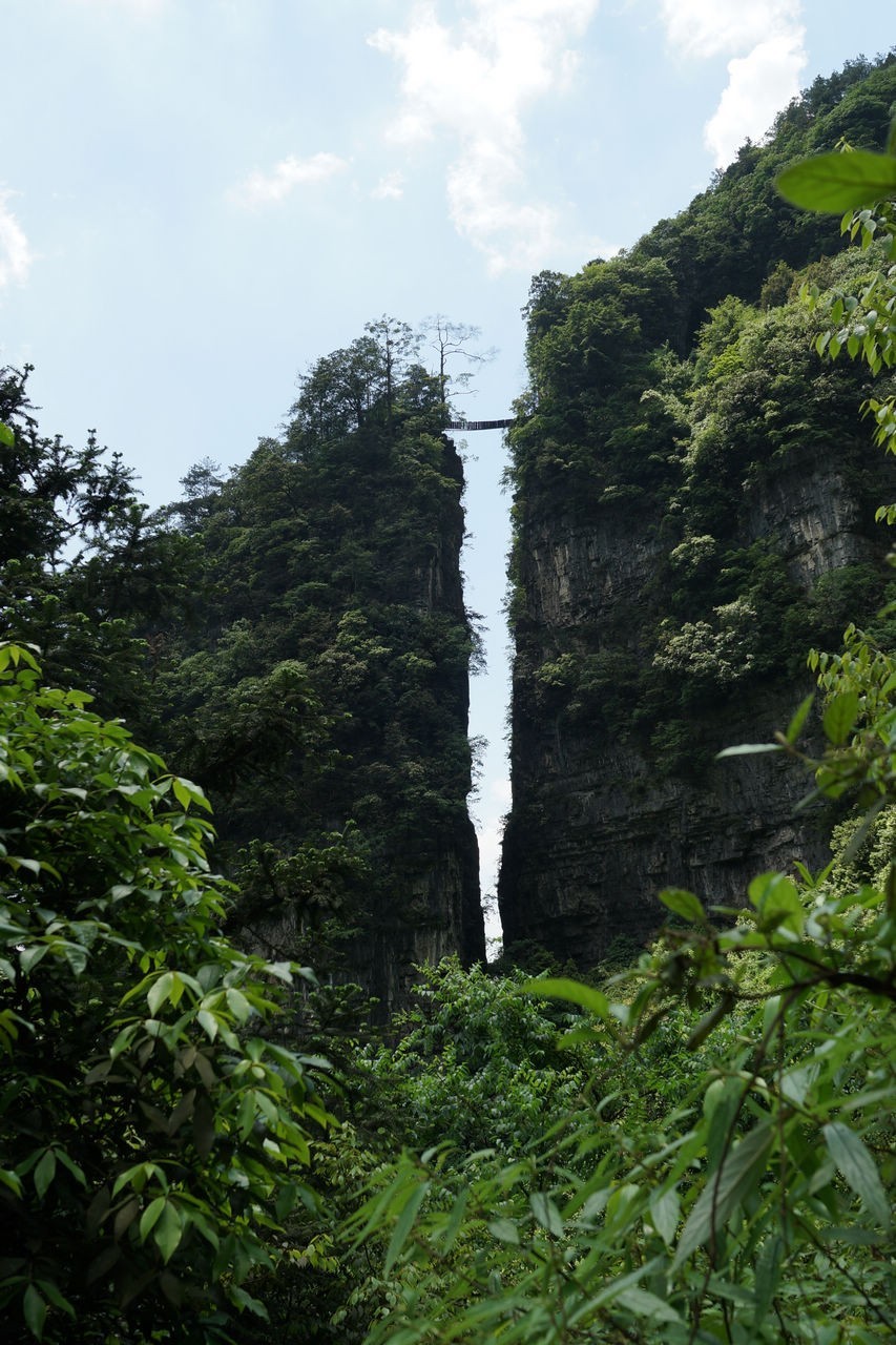 登山游览攀爬贵州绥阳五峰岭记实