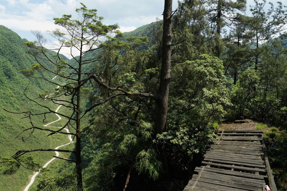 登山游览攀爬贵州绥阳五峰岭记实