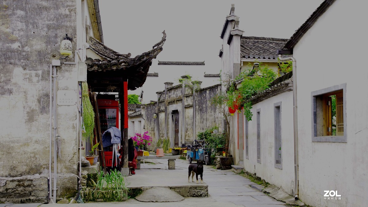 烟花三月下江南---安徽--黟县--西递【5】