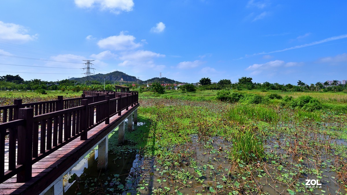 會仙河溼地公園