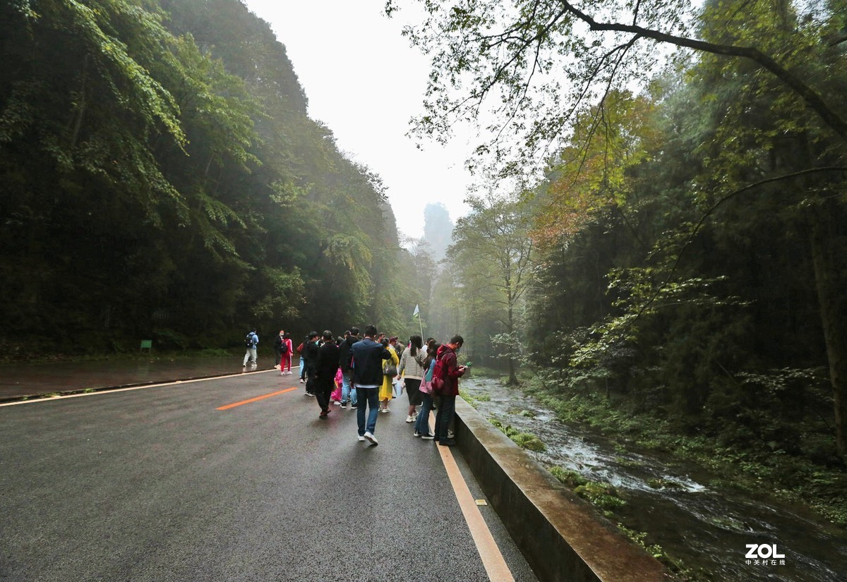 武陵源森林公园的早晨