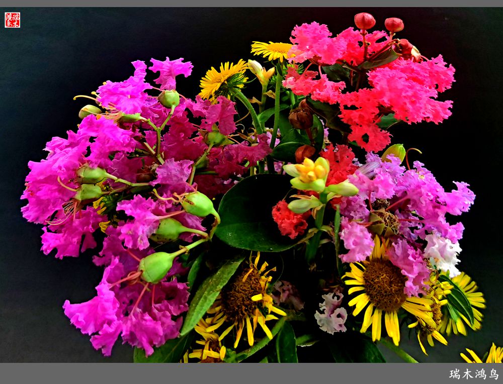 【手机随拍】2021年之花季——紫薇幽香扑面来