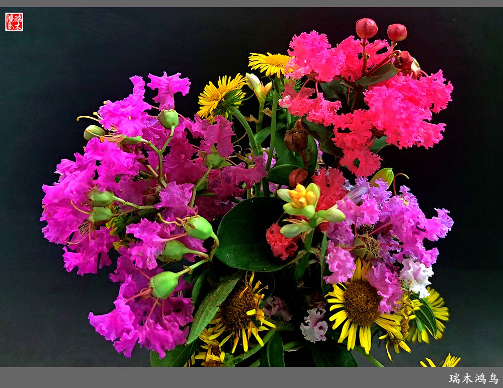 【手机随拍】2021年之花季——紫薇幽香扑面来