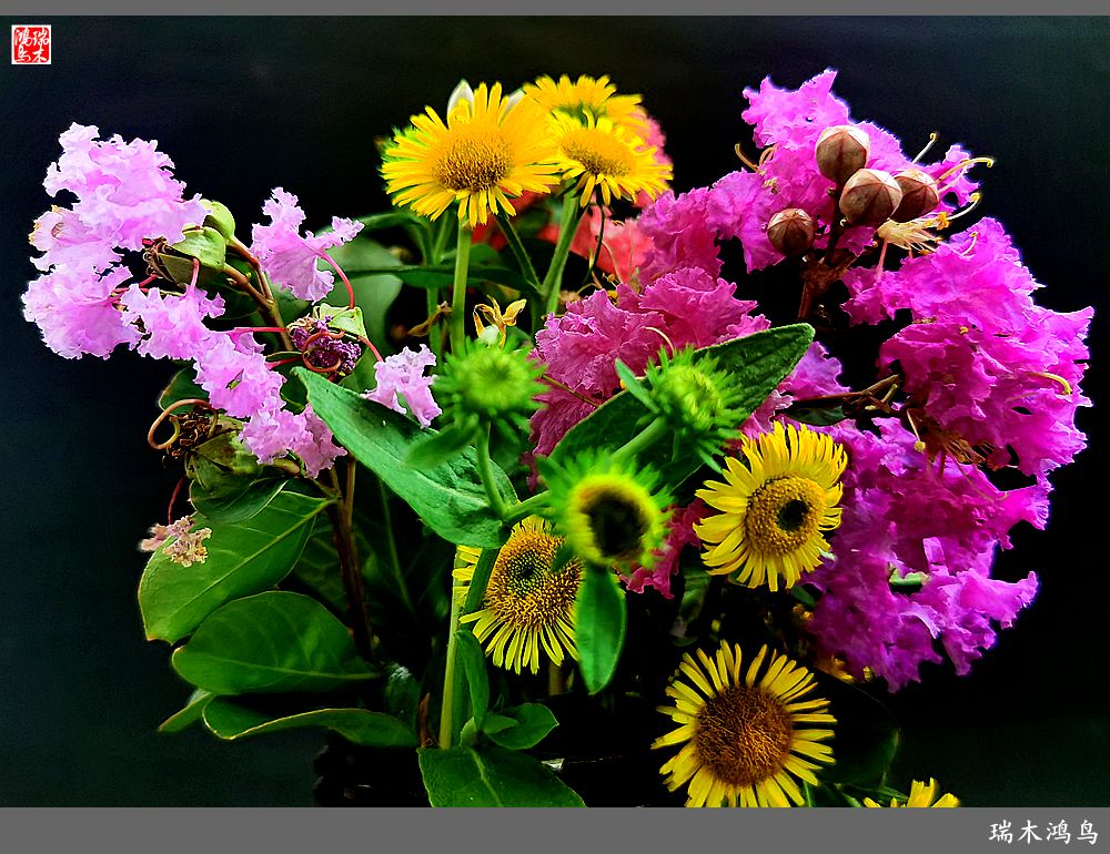 【手机随拍】2021年之花季——紫薇幽香扑面来