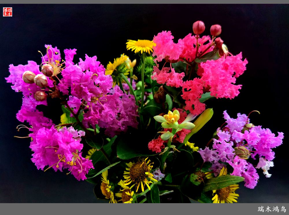 【手机随拍】2021年之花季——紫薇幽香扑面来