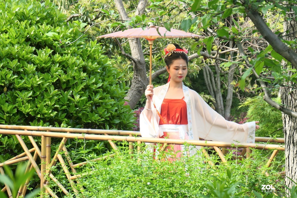 【阳光下的少女】——摄于上海桂林公园