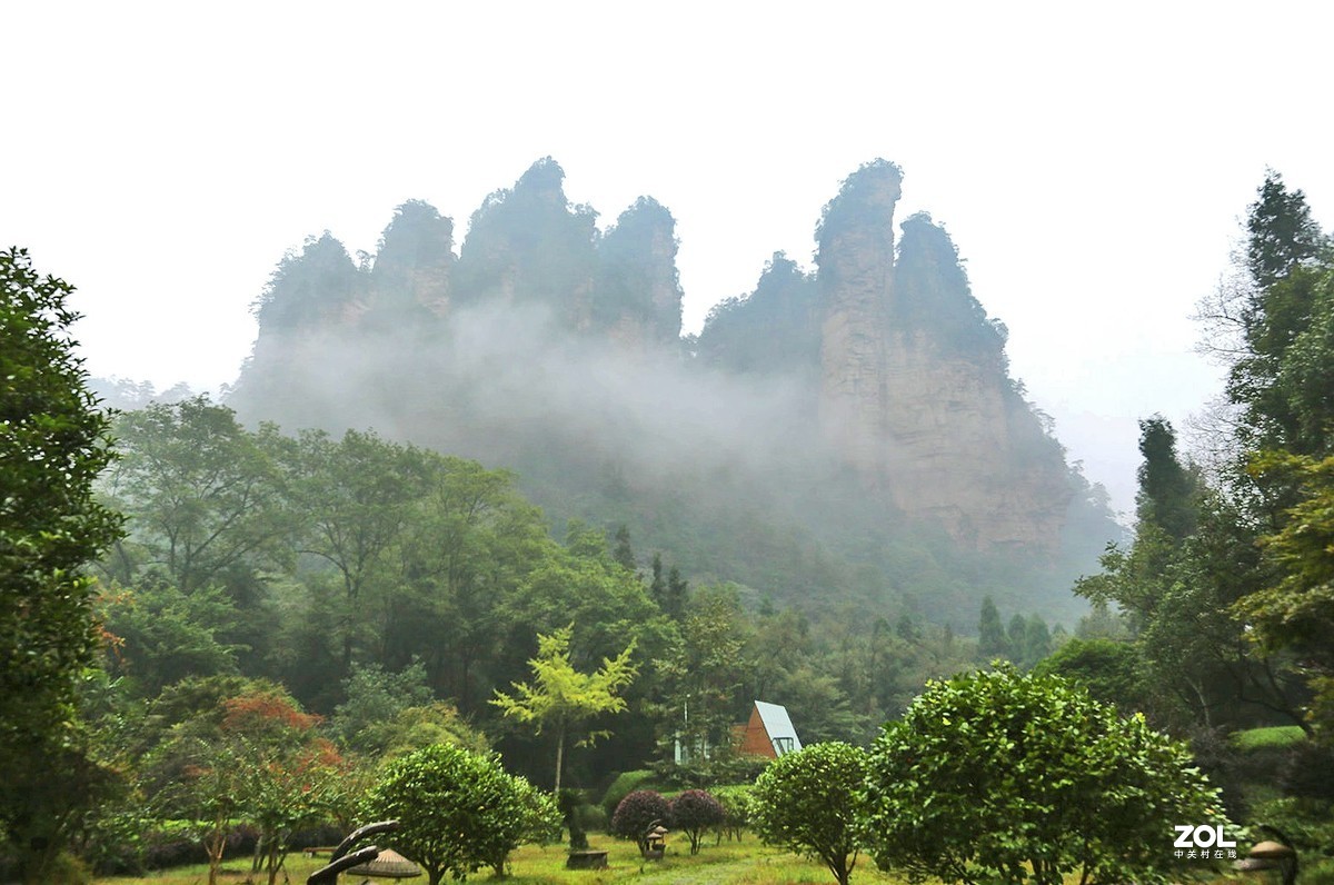 武陵源森林公园的早晨