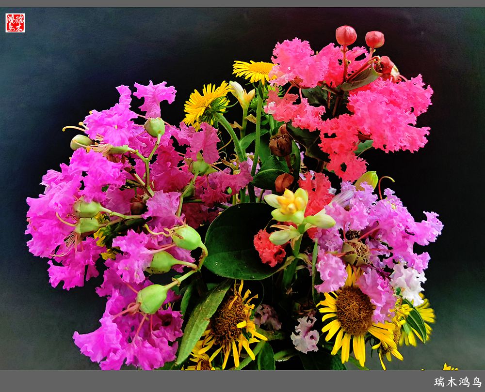 【手机随拍】2021年之花季——紫薇幽香扑面来