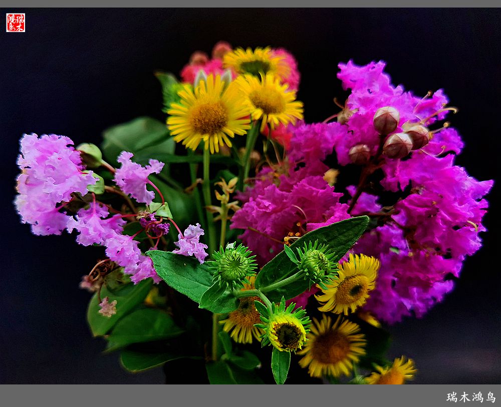 【手机随拍】2021年之花季——紫薇幽香扑面来