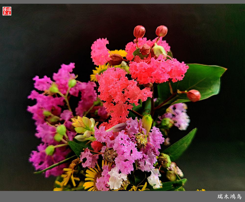 【手机随拍】2021年之花季——紫薇幽香扑面来