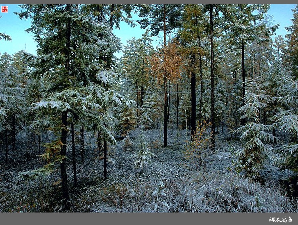 【纵穿大兴安岭】2.秋雪游漠河