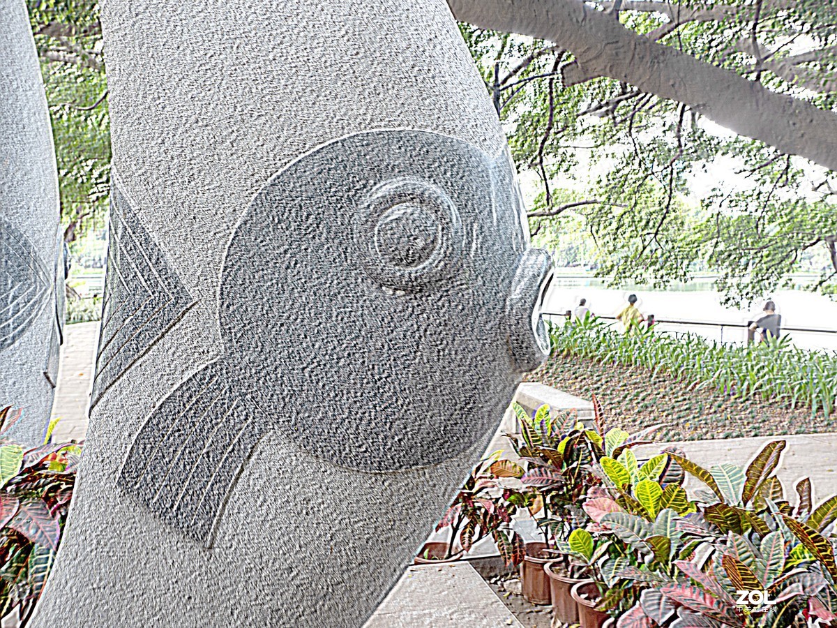 广州流花湖公园之夏