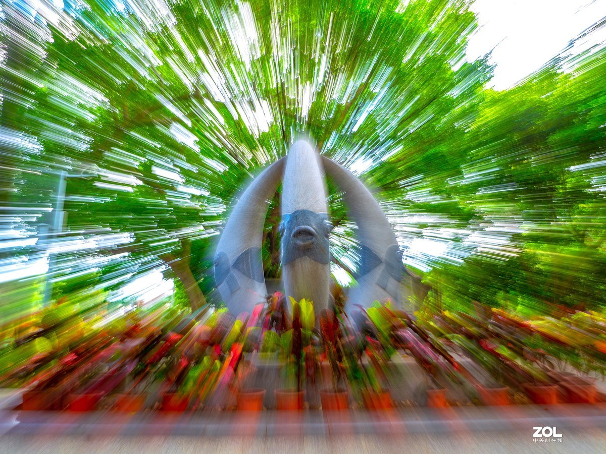 广州流花湖公园之夏