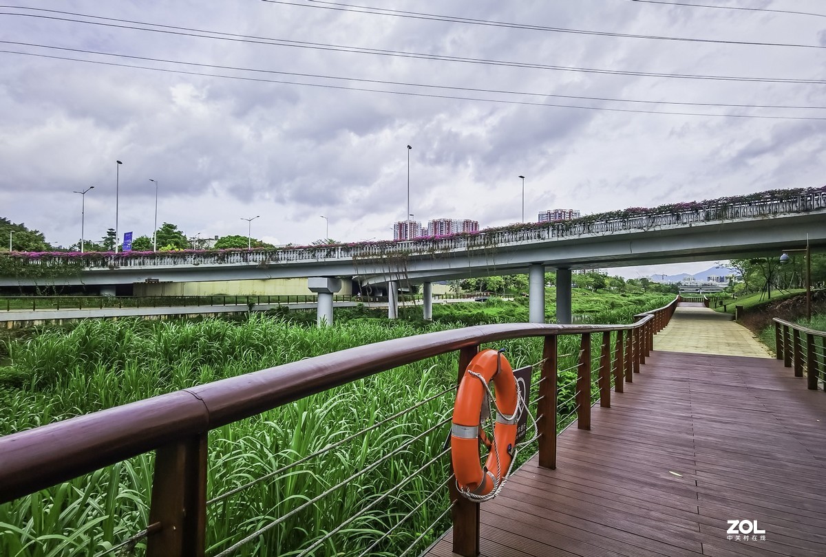 深圳沙河西景观长廊图片
