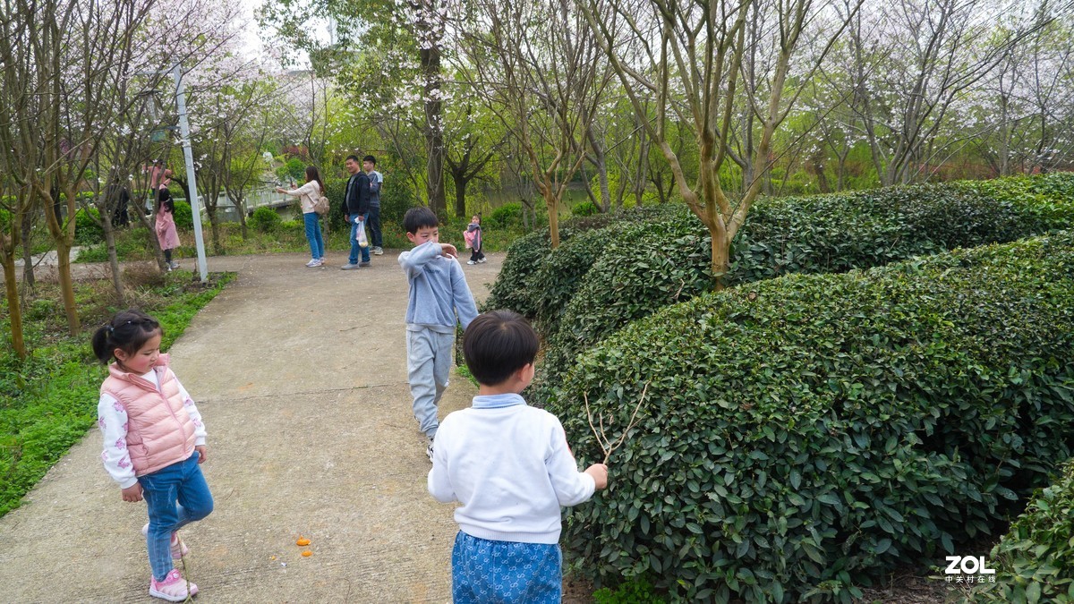 松下GH2老机子拍图