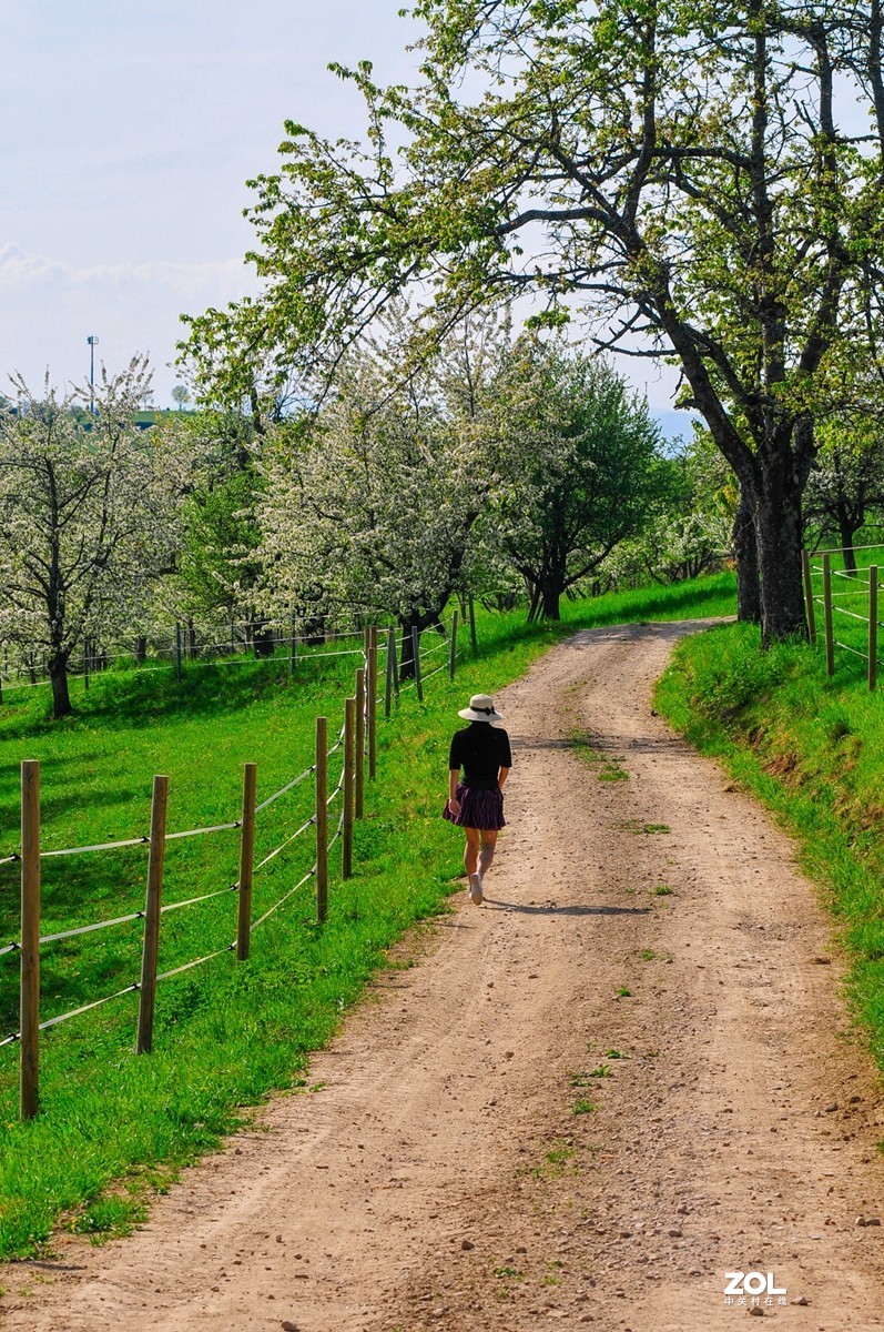 走在乡间的小路上快乐前行