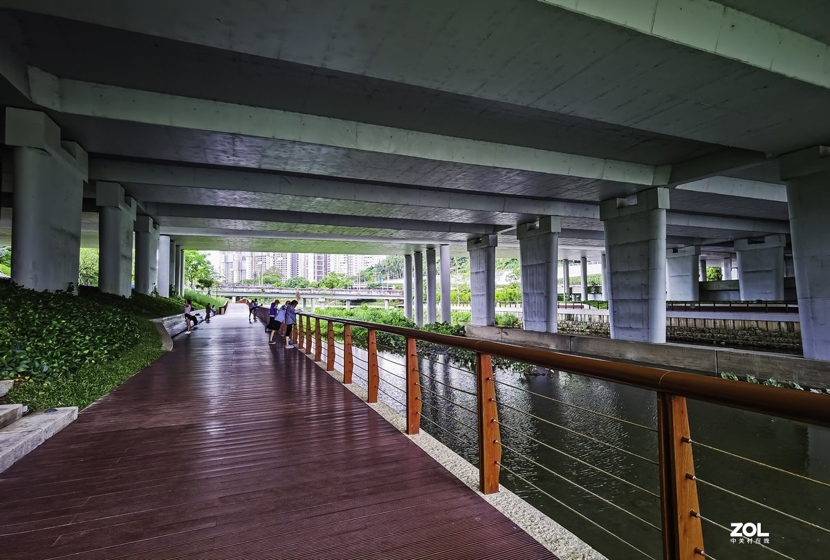 深圳沙河西景观长廊图片