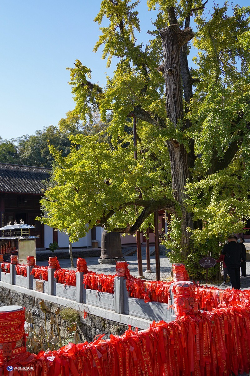 2021当阳玉泉寺七