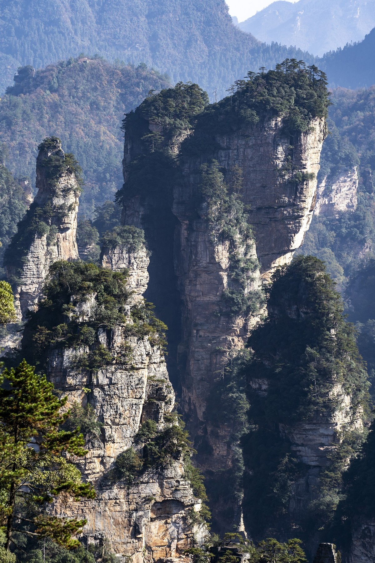 张家界袁家界景区3