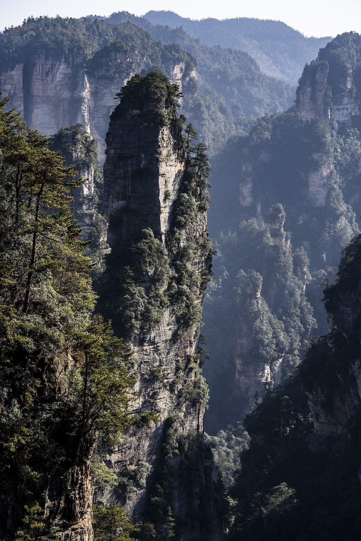张家界袁家界景区3