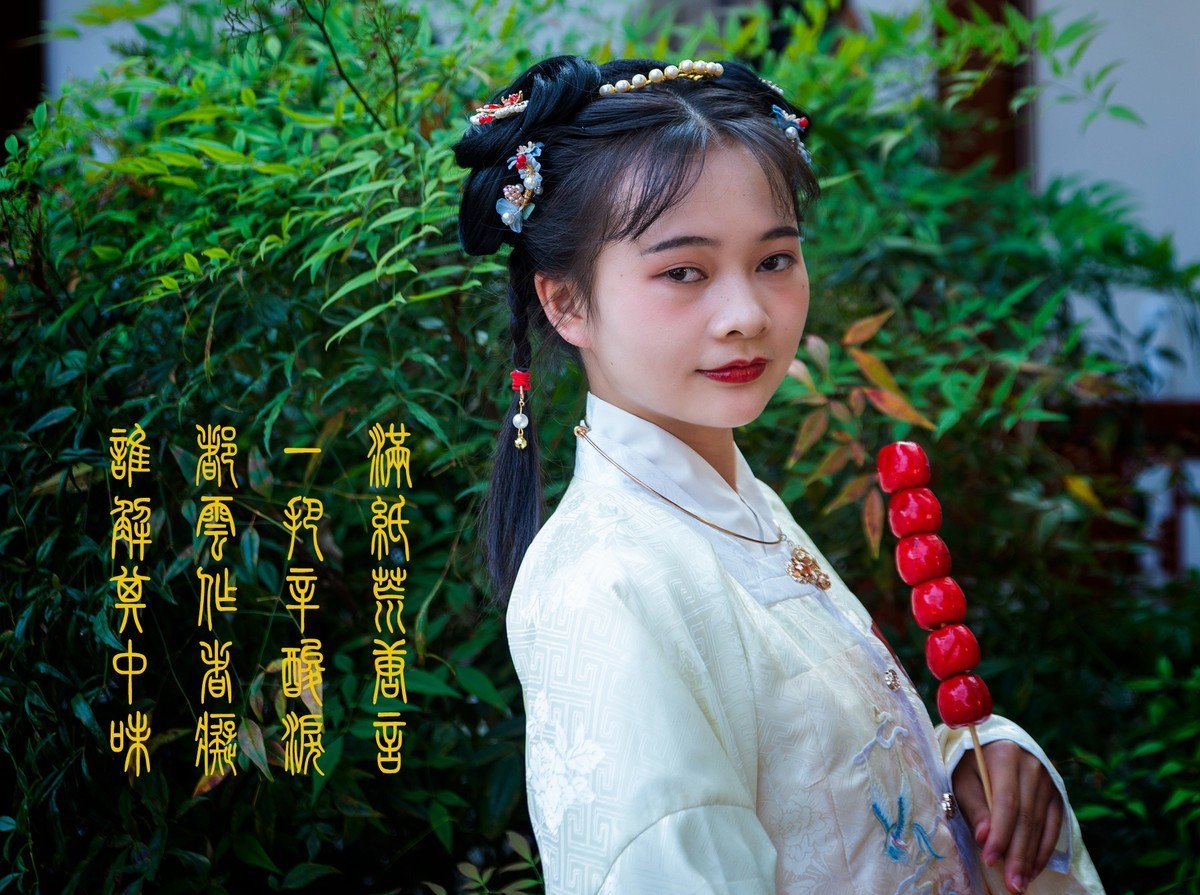 大观园中红楼梦