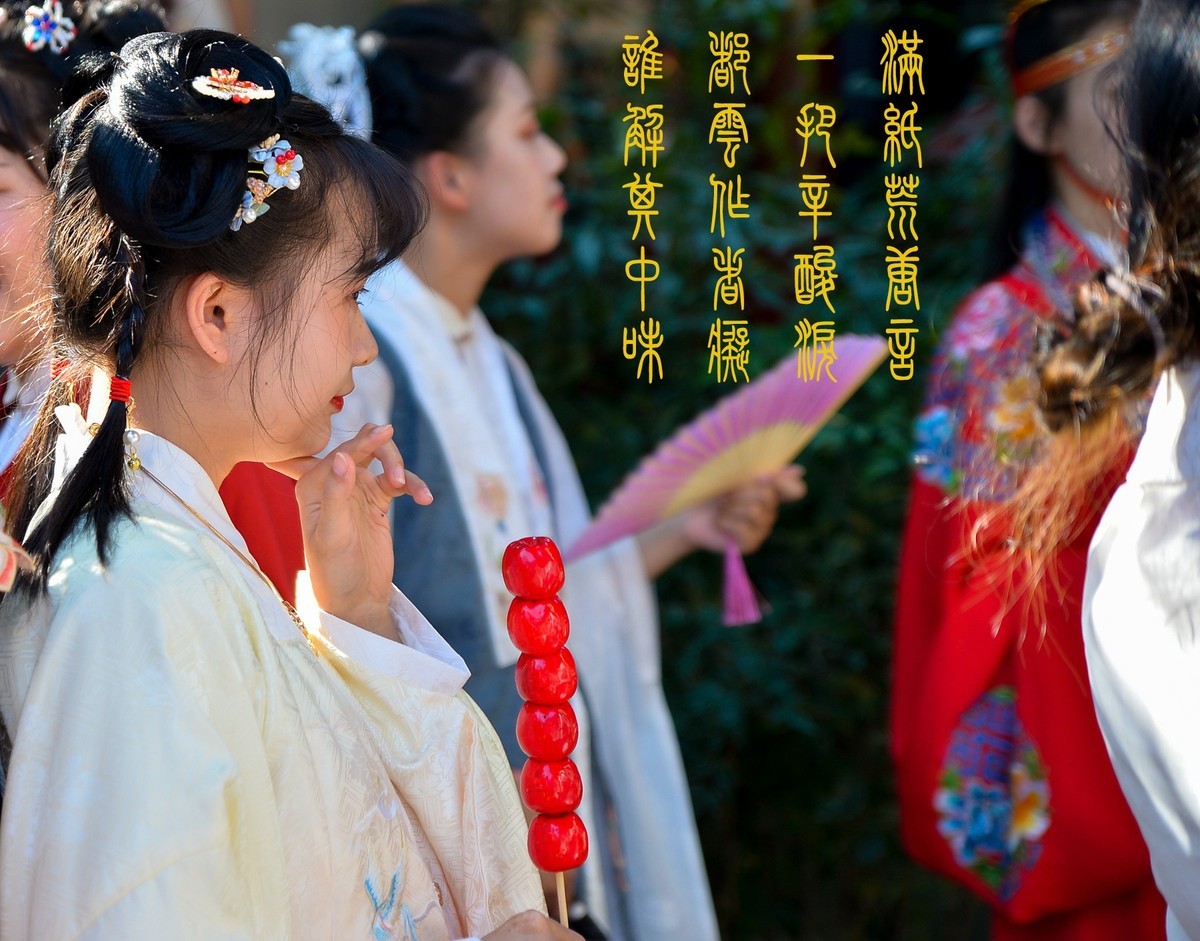 大观园中红楼梦