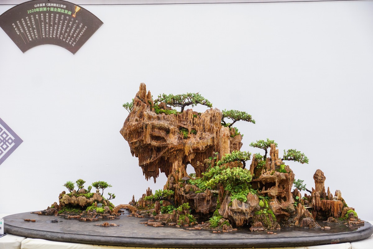 姹紫嫣红-疫情下看巴南龙洲湾菊展