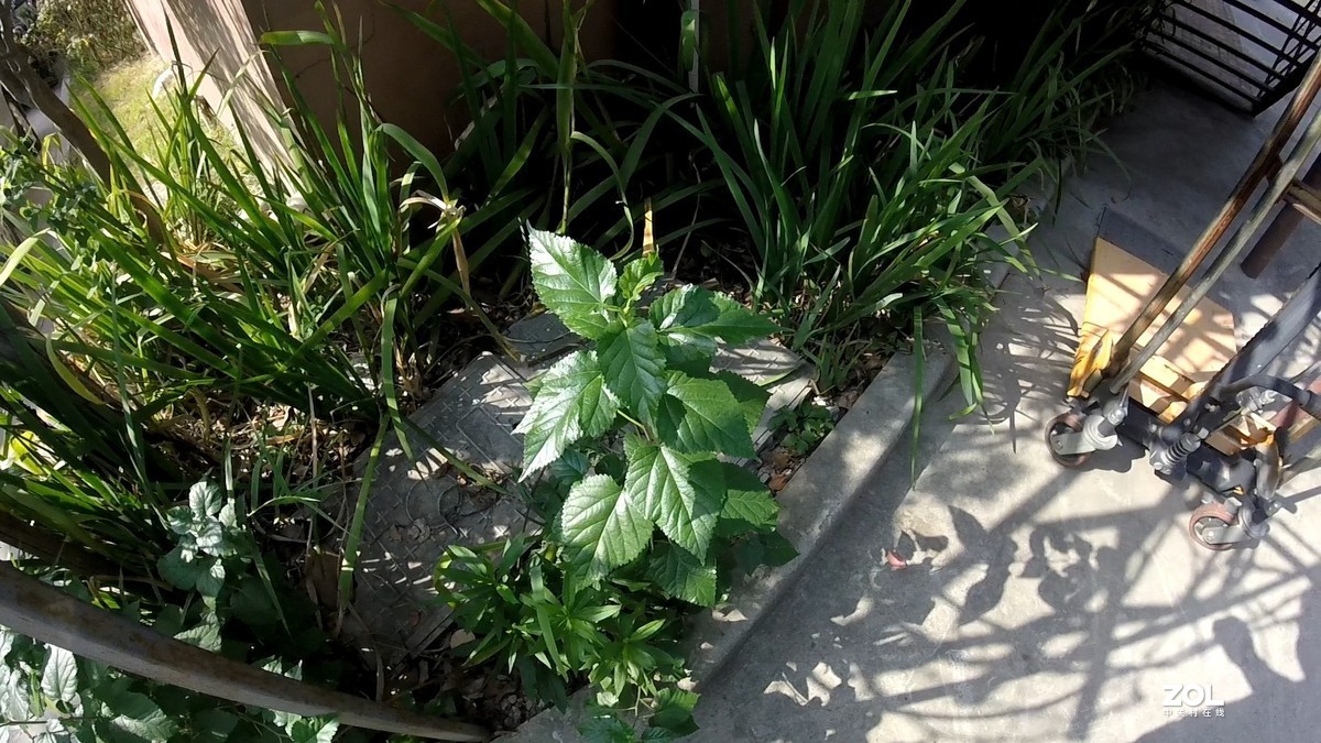 这个入门级真是只是玩玩儿